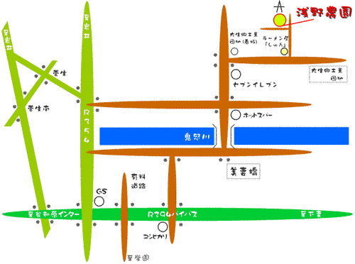 浅野農園地図